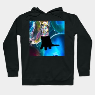 SPACE CAT COLORS Hoodie